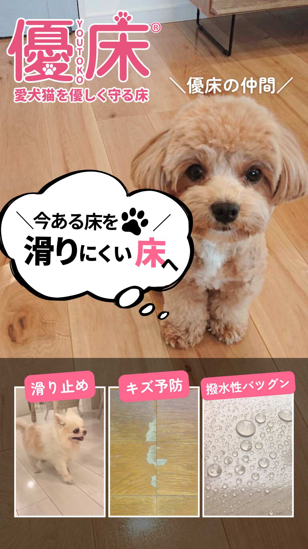 ペット用フロアコーティングスマホ表示