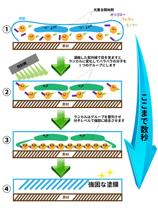 UV-SCOATフロアコーティング照射のしくみ