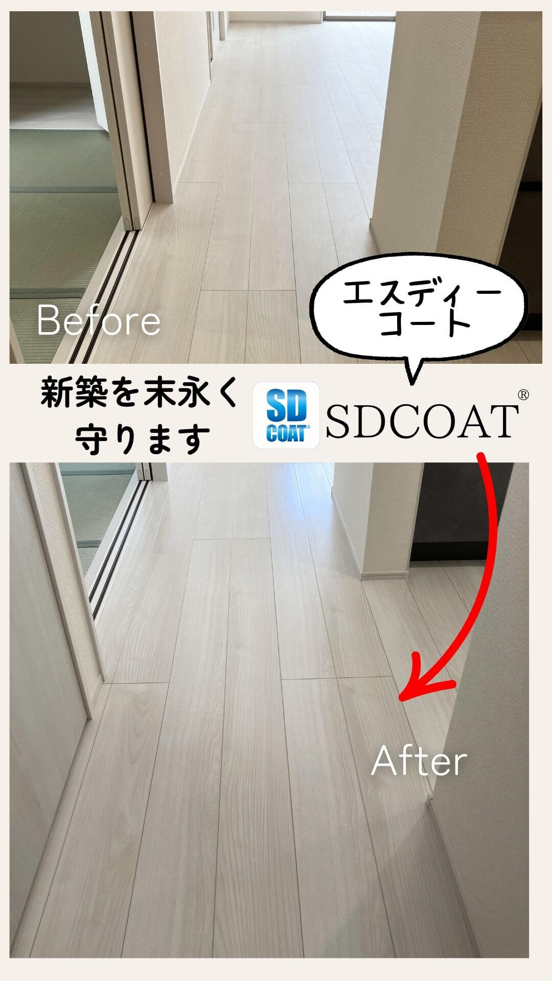 フロアコーティングSDCOATガラスコーティング53718_02