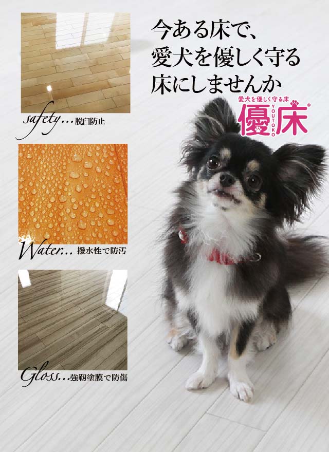 犬猫用フロアコーティングSM