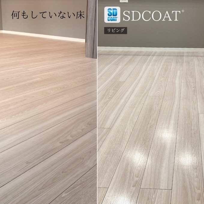 フロアコーティングSDCOATガラスコーティング58284_03