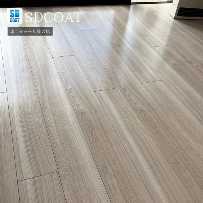 フロアコーティングSDCOATガラスコーティング58284_06