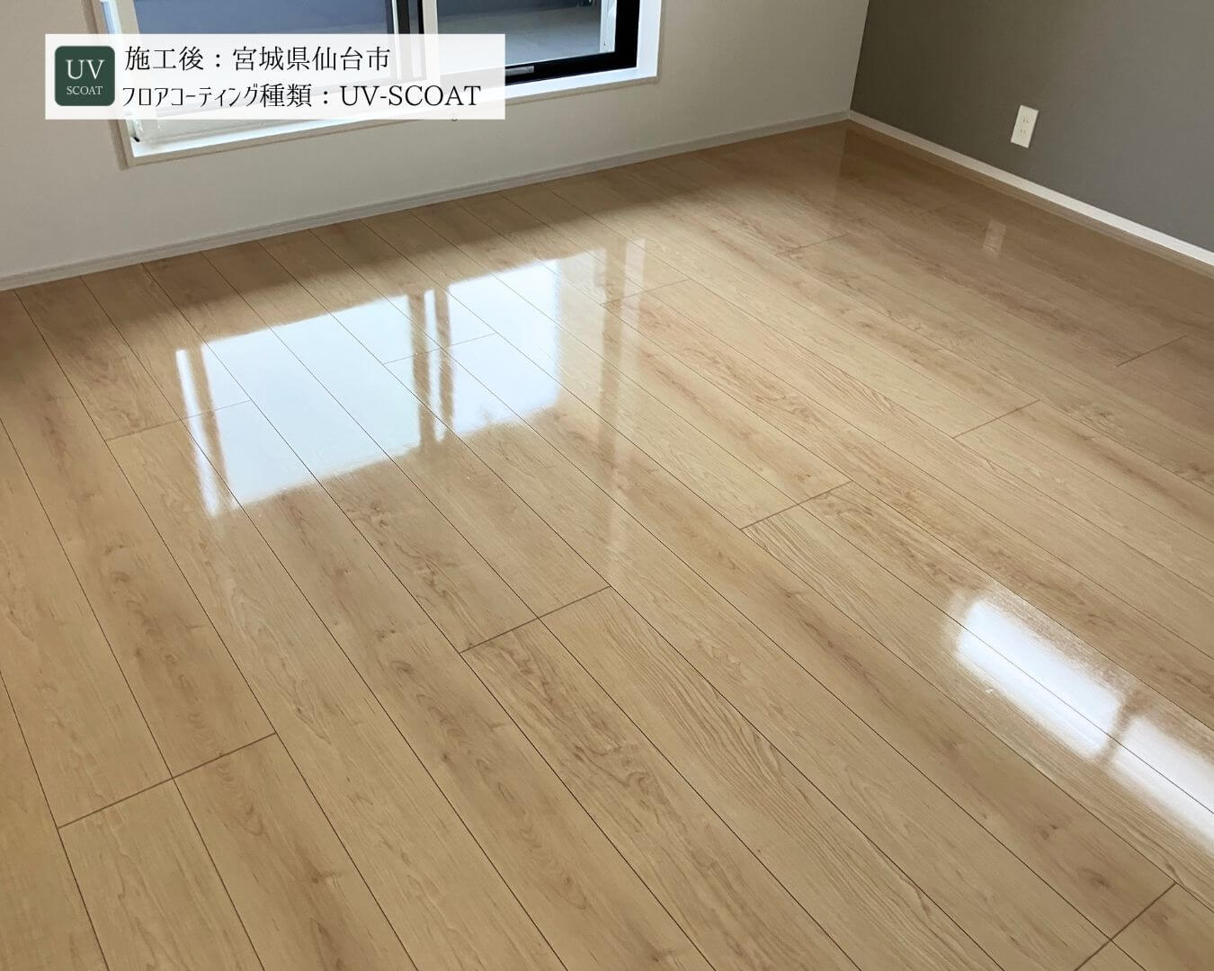 フロアコーティングの塗膜前後写真